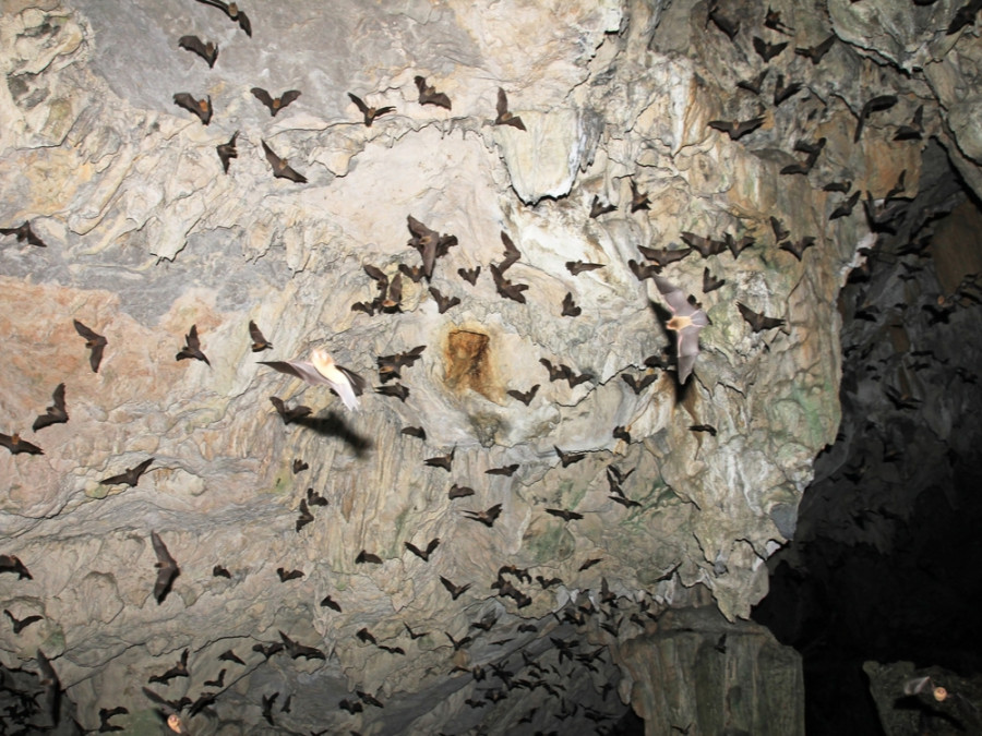Cueva Lanquin