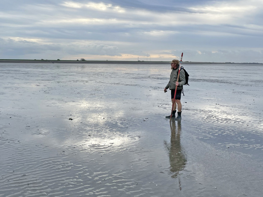 Wadlopen met Harm Jan Wadlopen met Harm Jan