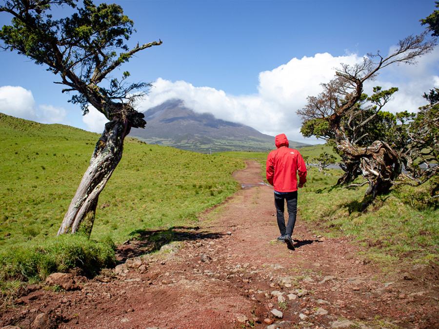 Wandelen op Pico