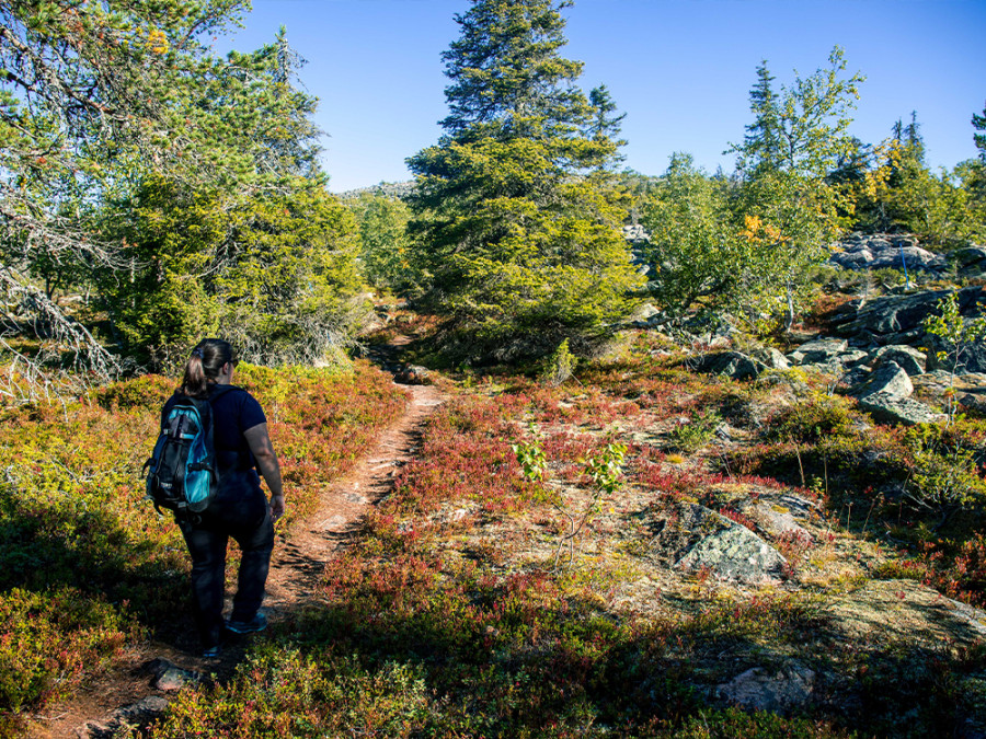 Trails in Salla Trails in Salla