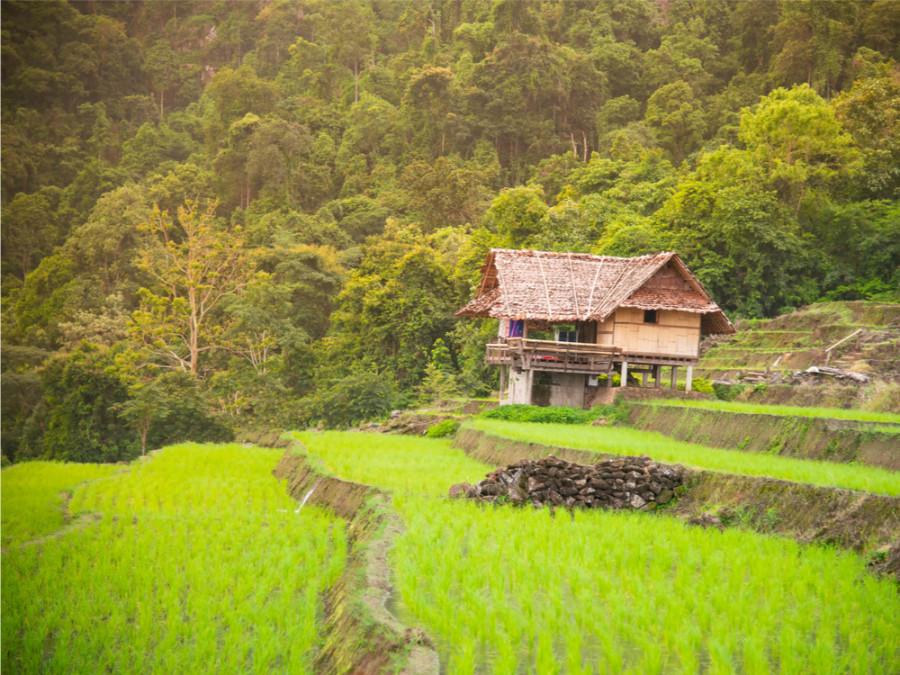 Overnachten in een homestay Overnachten in een homestay