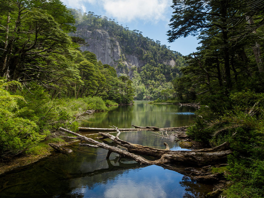 Huerquehue National Park Huerquehue National Park