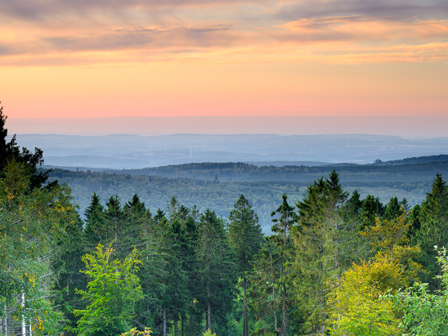 Natuur in NP Hunsruck-Hochwald Natuur in NP Hunsruck-Hochwald