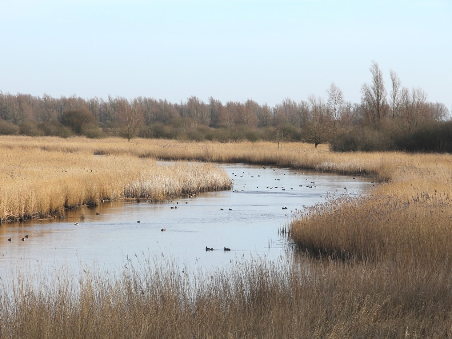 Lauwersmeer Lauwersmeer