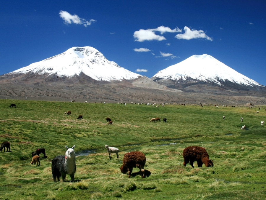 Lauca National Park Lauca National Park