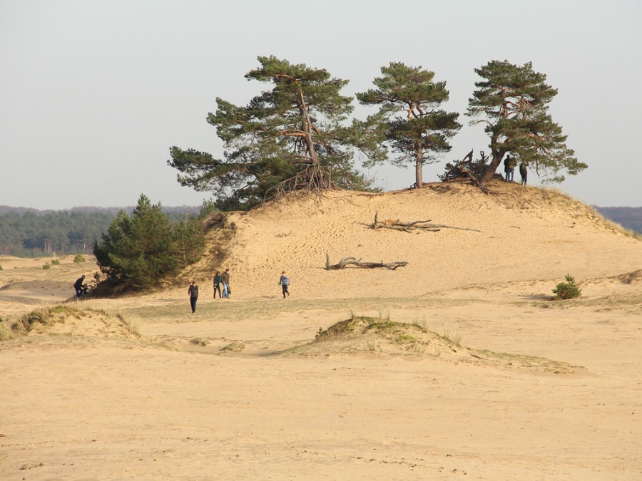 Kootwijkerzand Kootwijkerzand