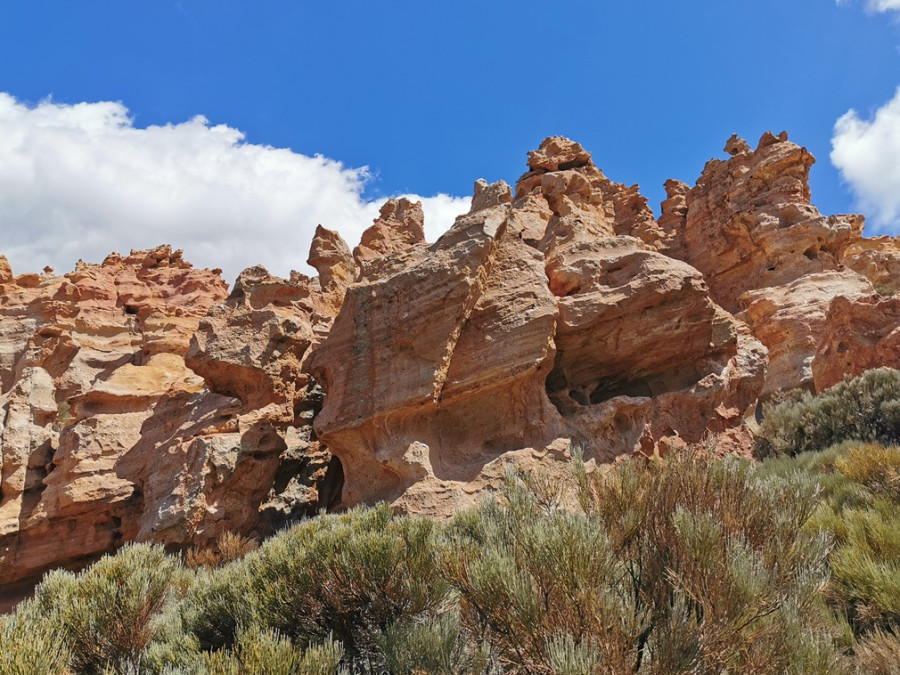 Natuur in Teide Natuur in Teide