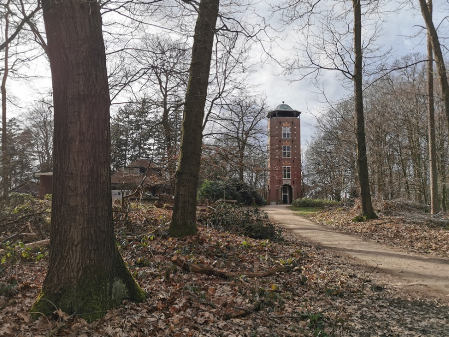 De Koepel uitkijktoren De Koepel uitkijktoren