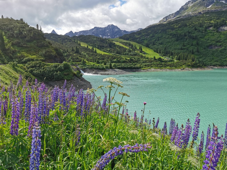 Alpenmeer Alpenmeer