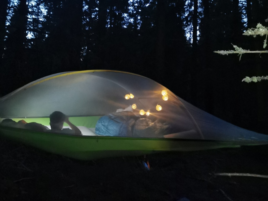 Tent tussen de bomen Tent tussen de bomen