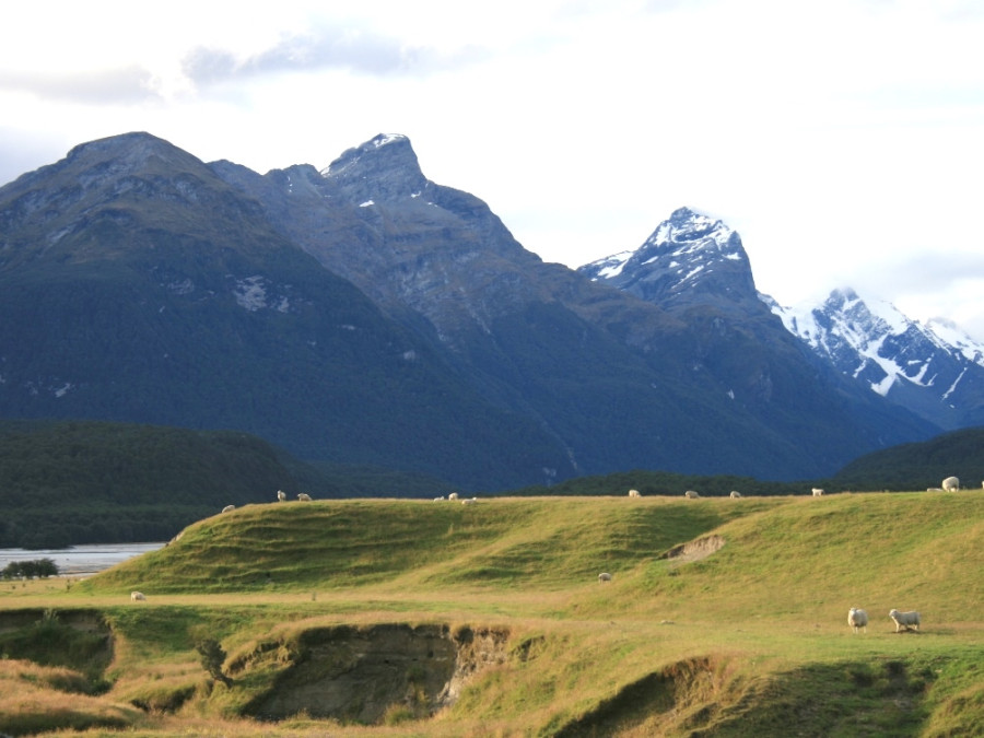 Natuur bij Queenstown Natuur bij Queenstown
