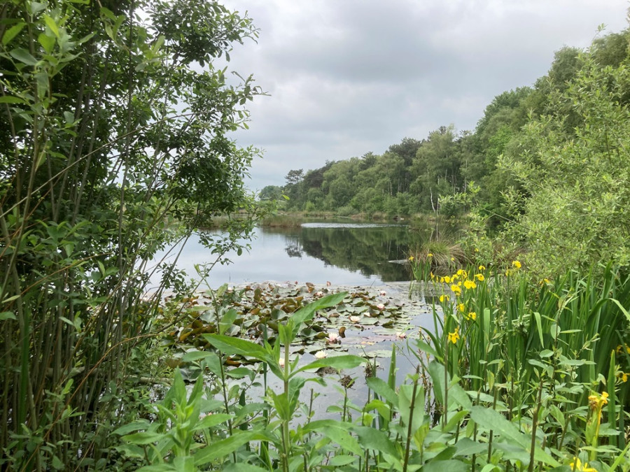 Vennen Haaksbergen Vennen Haaksbergen