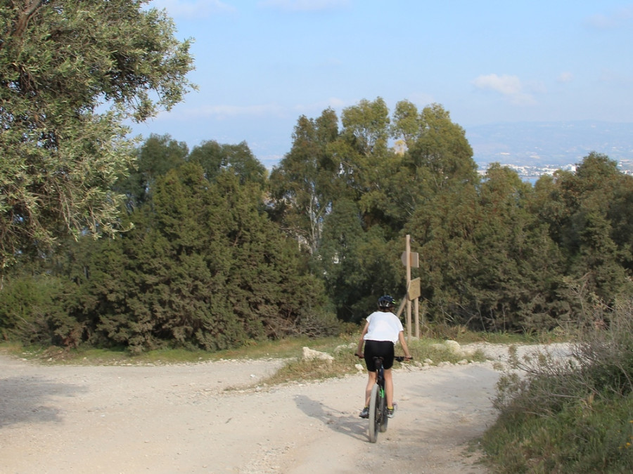 Mountainbike Mountainbike