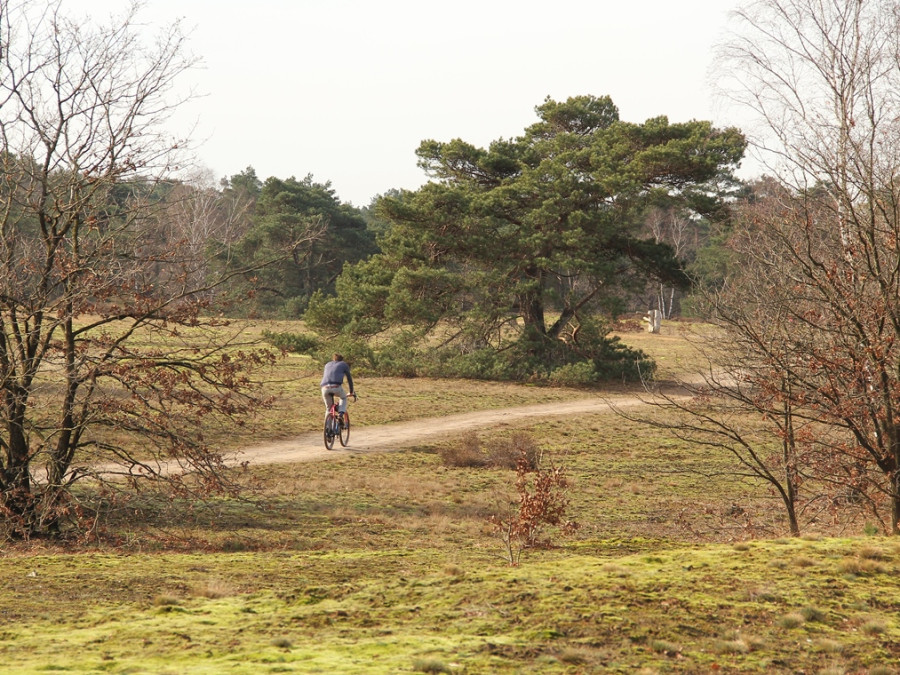 Hoge Veluwe Hoge Veluwe