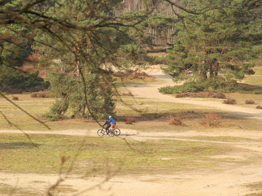 Fietsvakantie op de Veluwe Fietsvakantie op de Veluwe