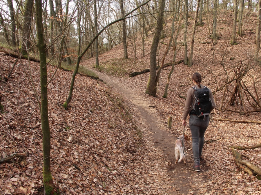 Hiken in Nederland Hiken in Nederland