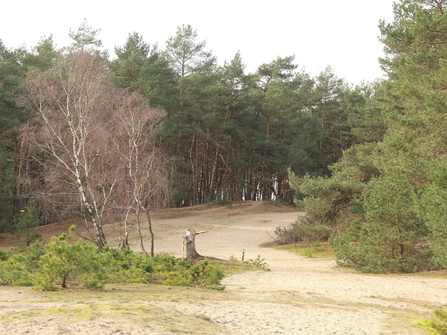 Mosselse Zand Mosselse Zand