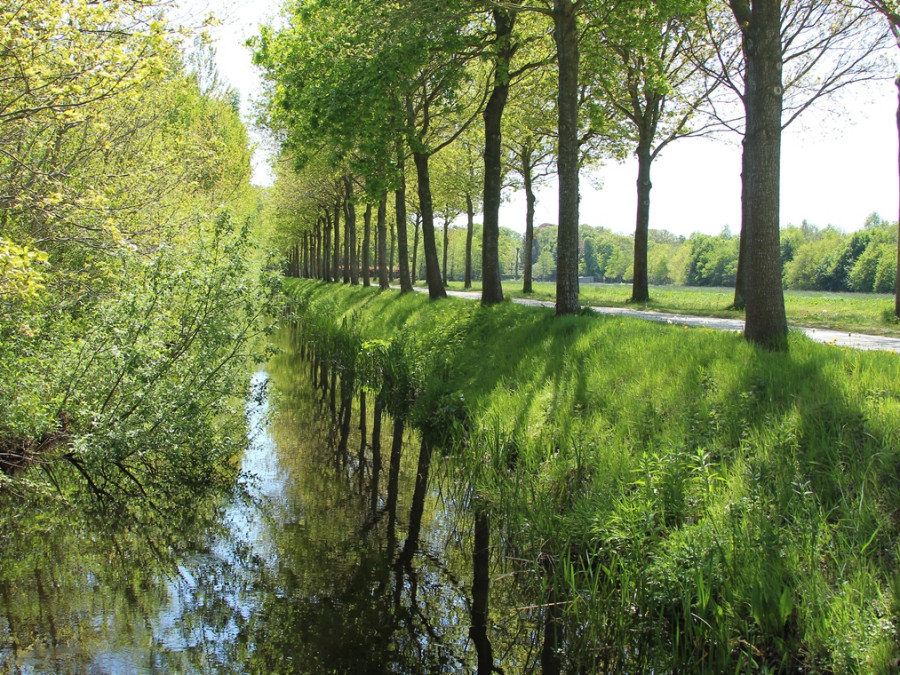 Fietsen in Oranjewoud Fietsen in Oranjewoud