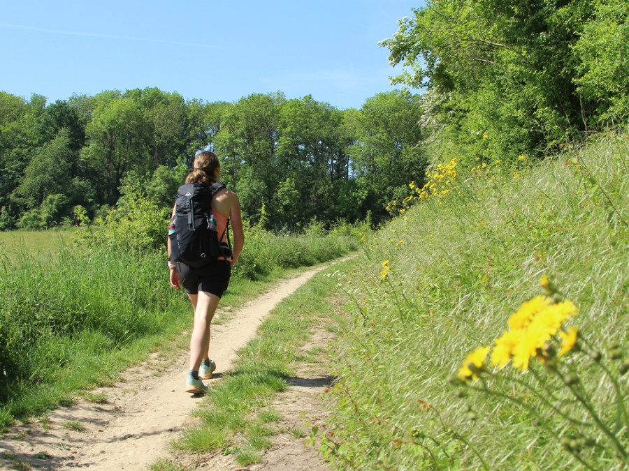 Wandelen bij Valkenburg Wandelen bij Valkenburg