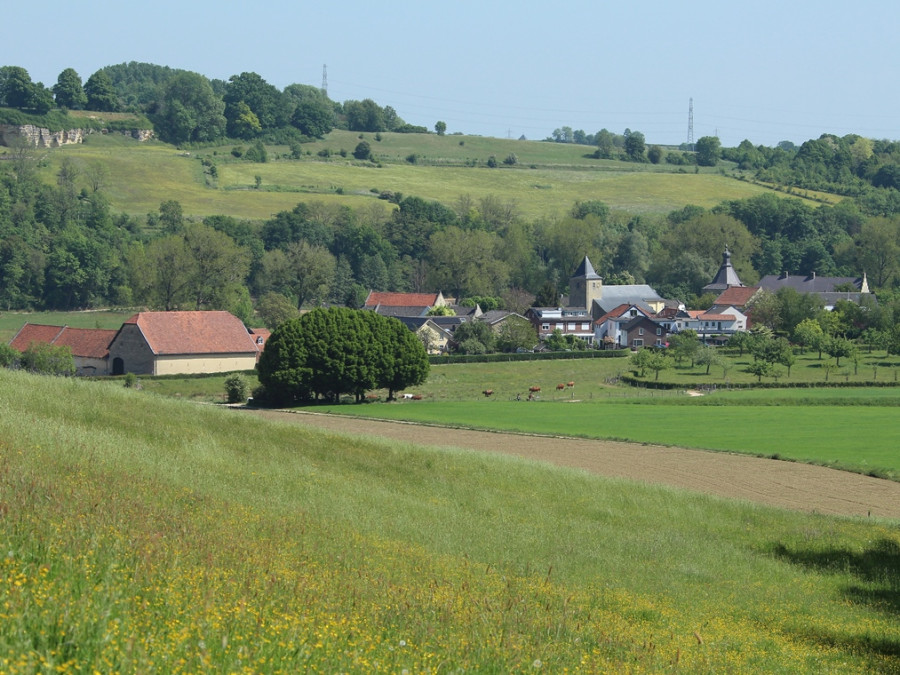 Landschap Zuid-Limburg