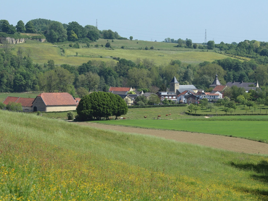 Landschap Zuid-Limburg Landschap Zuid-Limburg