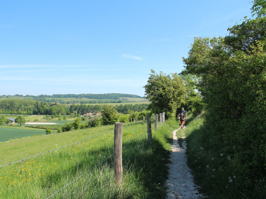 Wandelen in het Heuvelland Wandelen in het Heuvelland