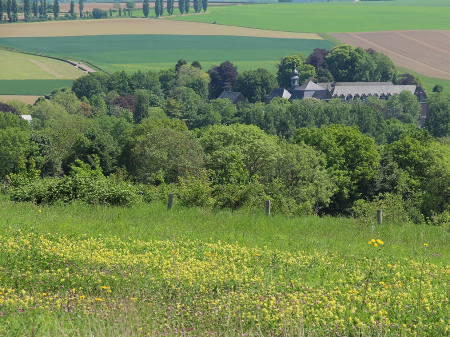 Heuvelland bij Gulpen Heuvelland bij Gulpen