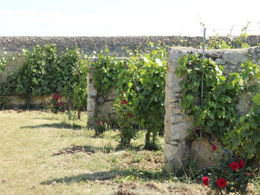 Le Clos d'entre les murs Parnay Le Clos d'entre les murs Parnay