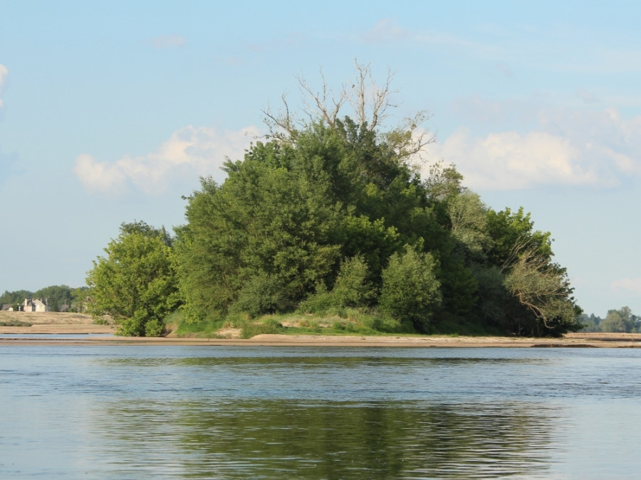 Natuur Loire