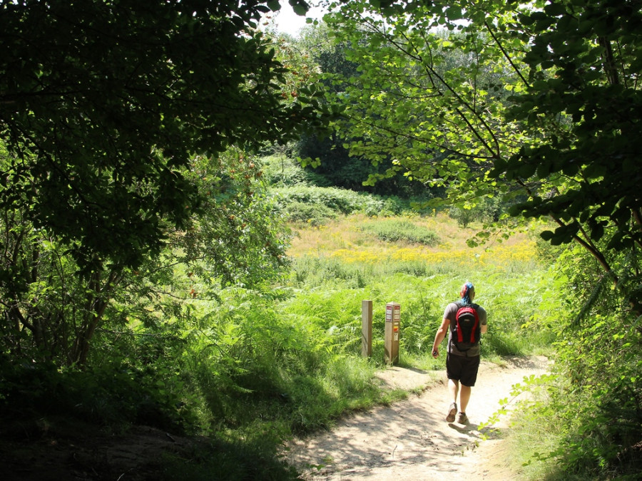 Wandelen Sint-Jansberg Wandelen Sint-Jansberg