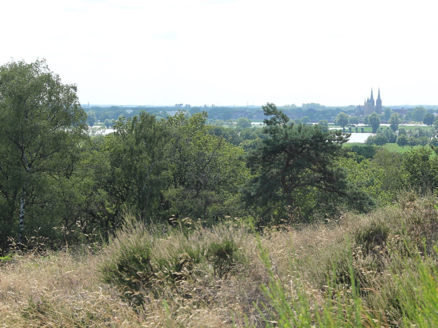 Mookerheide uitzicht Mookerheide uitzicht