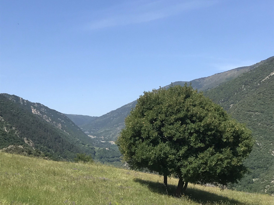 Landschap Pyrenées orientales