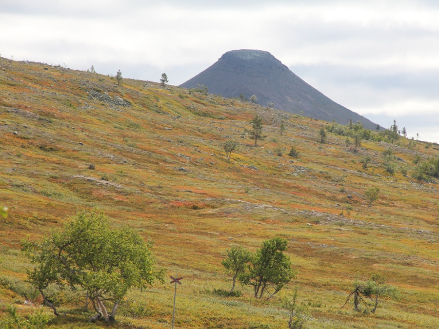 Nipfjället Nipfjället