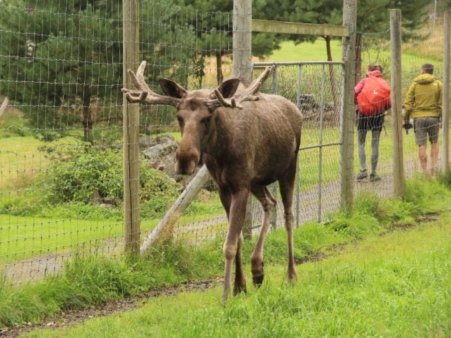 elandenpark elandenpark