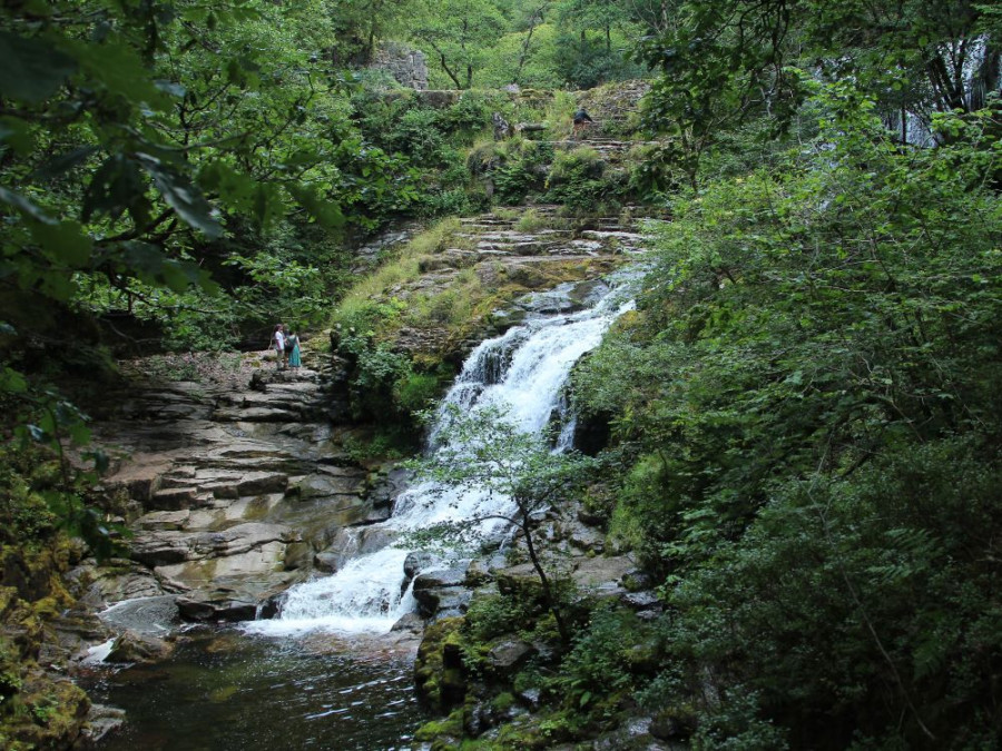 Natuur in Wales Natuur in Wales