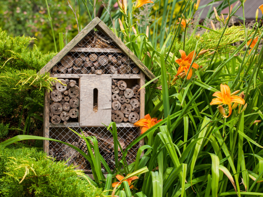 Insectenhotel Insectenhotel