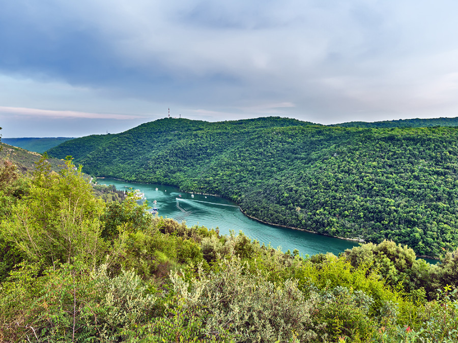 Lim Fjord Lim Fjord