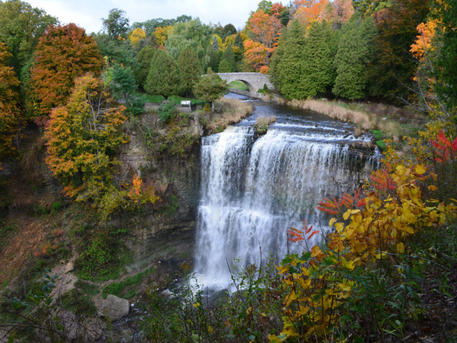 Webster Falls Webster Falls
