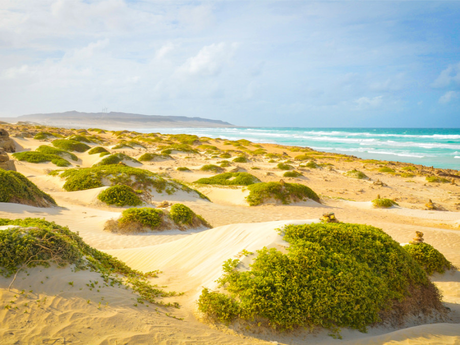 Boa Vista Boa Vista