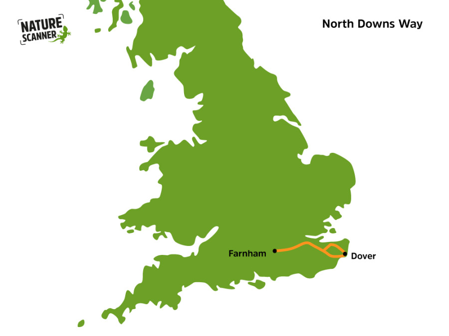 North Downs Way kaart