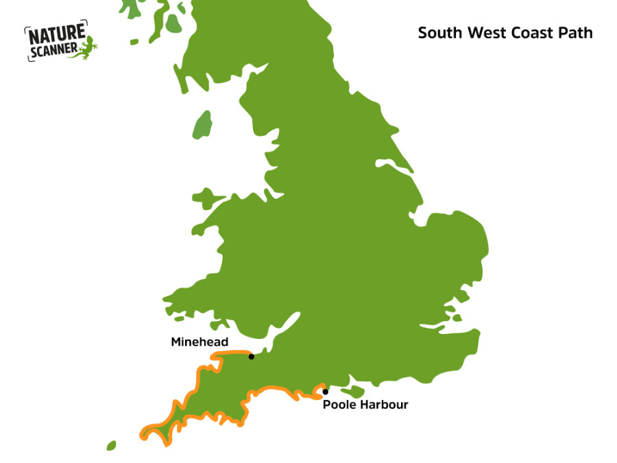 South West Coast Path kaart South West Coast Path kaart