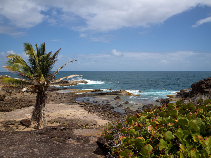 Natuurreservaten Martinique