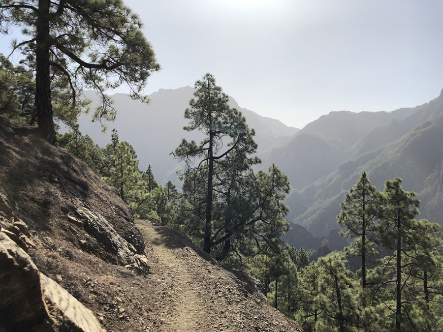 La Palma La Palma
