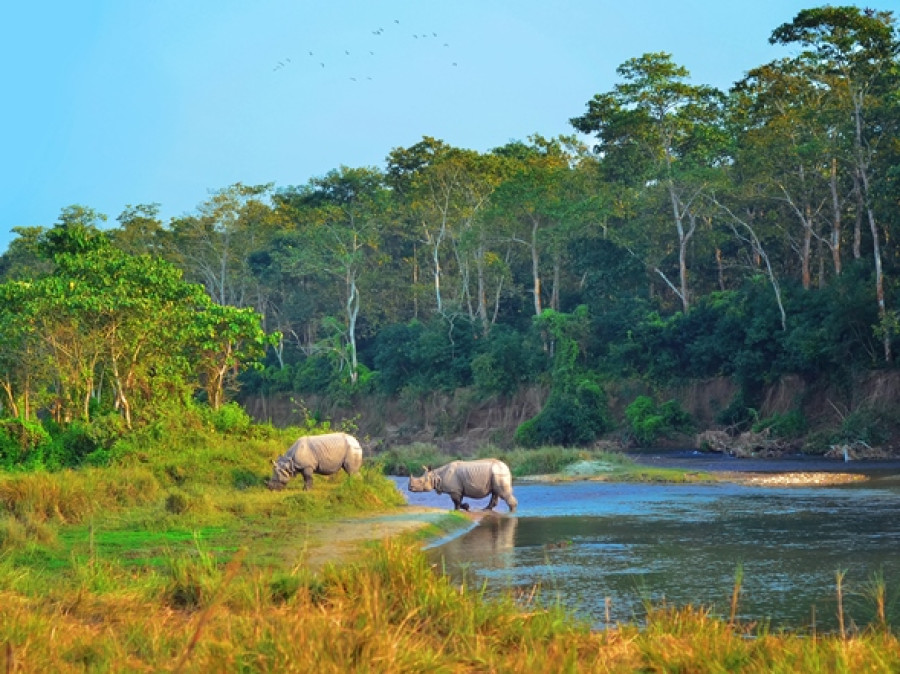 Chitwan nationaal park Nepal
