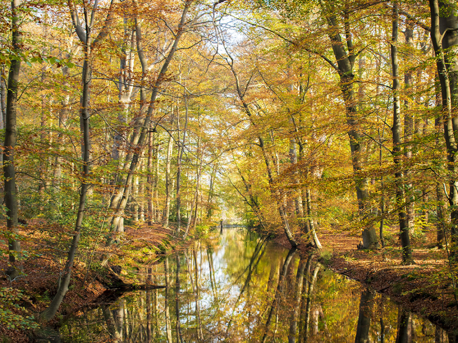 Hilverbeek herfst Hilverbeek herfst