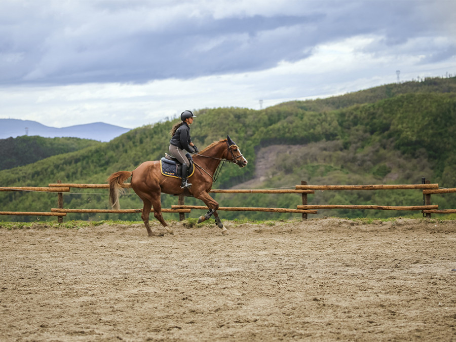 Paardrijden in Umbrie
