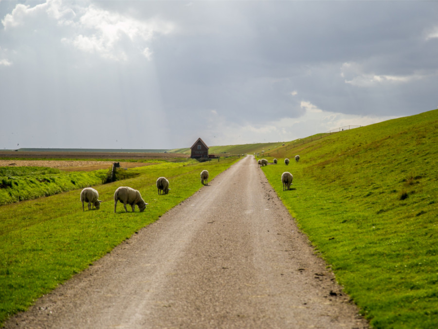 Fietsroute Lauwersoog Fietsroute Lauwersoog