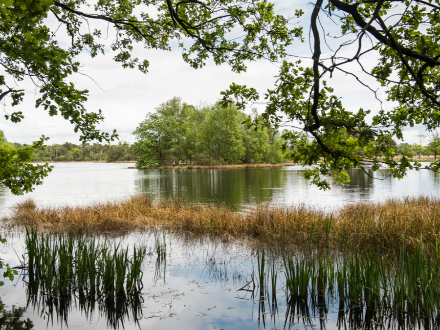 Leersumse Plassen Leersumse Plassen