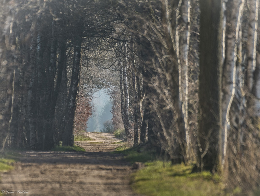 Natuur rond Turnhout Natuur rond Turnhout
