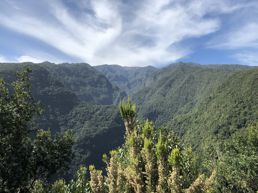 Los Tilos Los Tilos